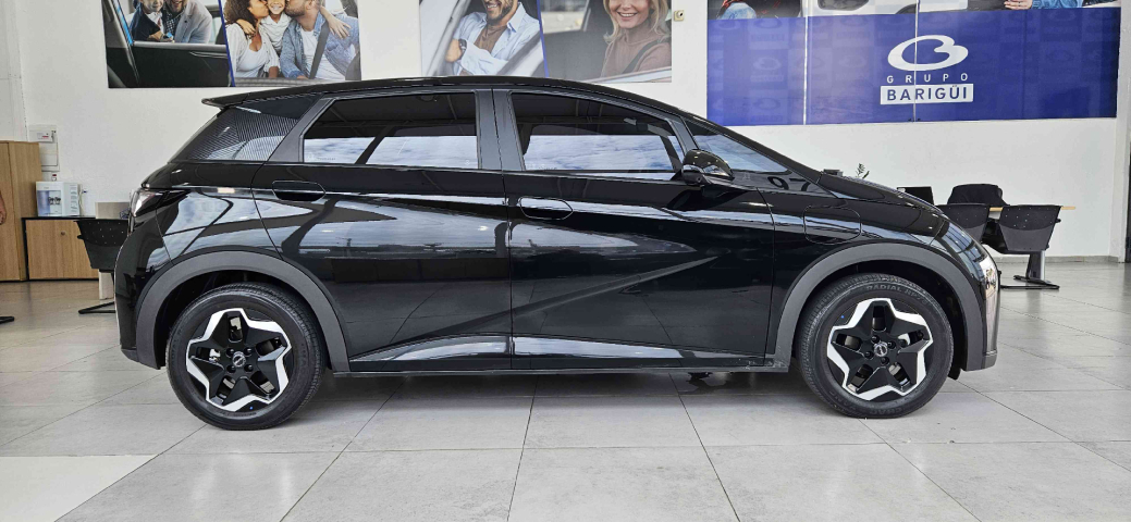 BYD DOLPHIN Automático0