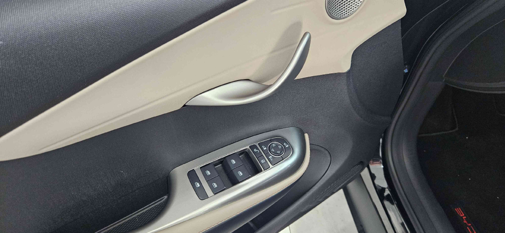 BYD DOLPHIN Automático11