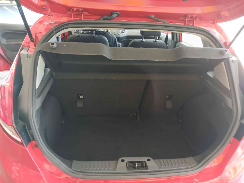 new fiesta style 1.6 manual
