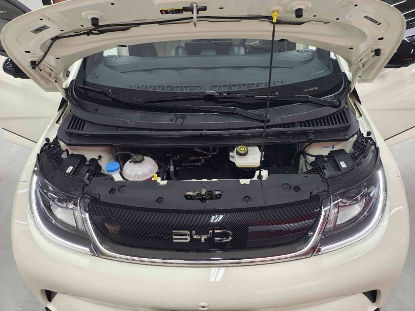 byd dolphin 44,9 kw eletrico gs 1.8 4p automatico 202611