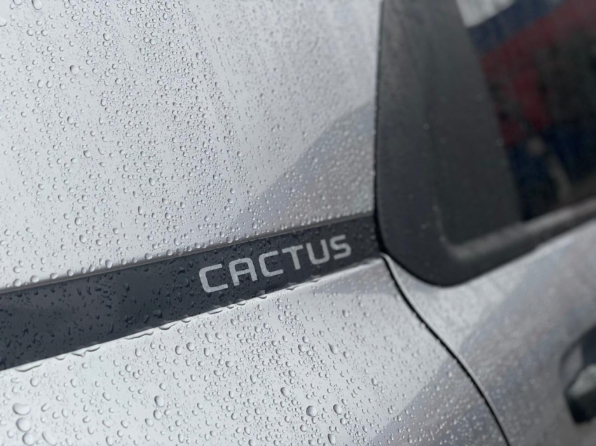 citroen c4 cactus 1.6 vti 120 flex x-series eat6 4p automatico 20226