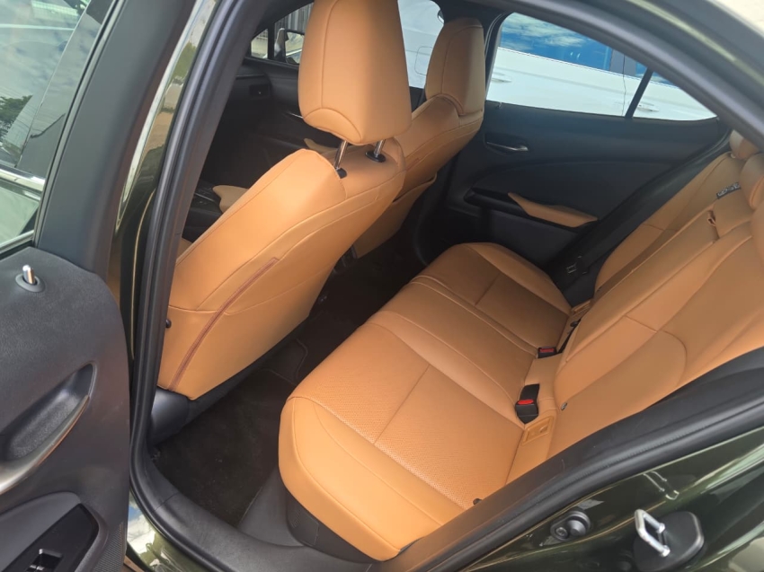 lexus ux 300h 2.0 vvt-i hybrid cvt 1.0 hibrido 4p automatico 20256