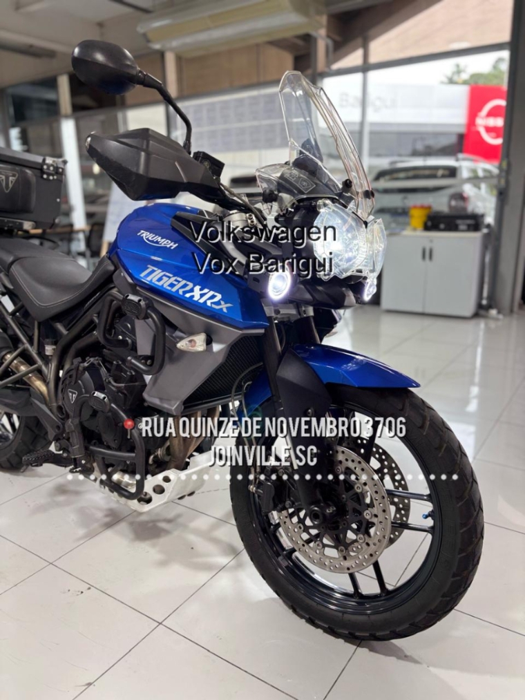 triumph tiger x lx low seat - oportunidade 799 gasolina manual 2016