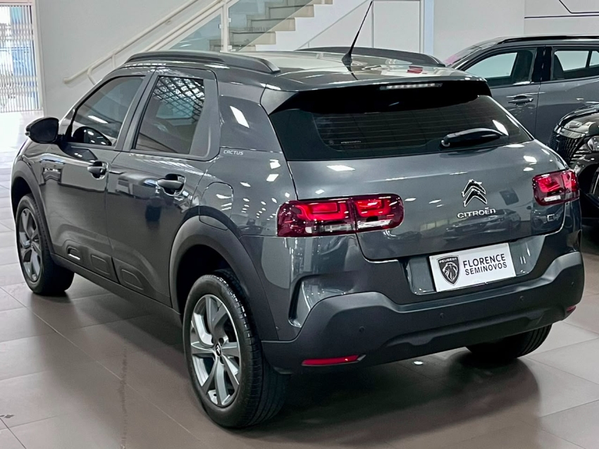 c4 cactus feel aut4