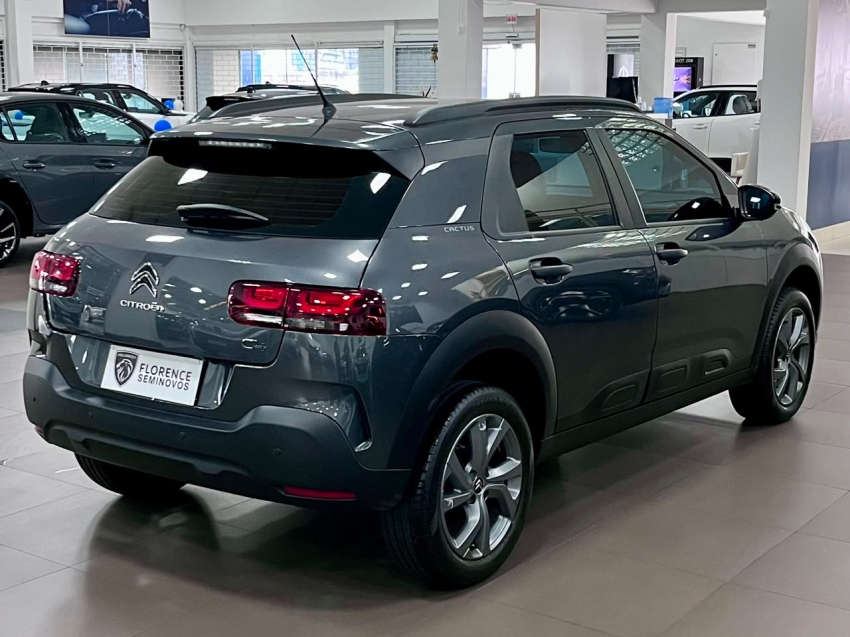 c4 cactus feel aut3
