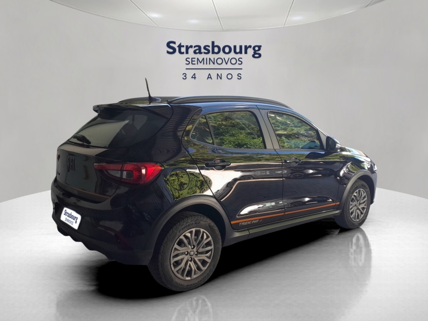 fiat argo 1.3 firefly flex trekking manual.