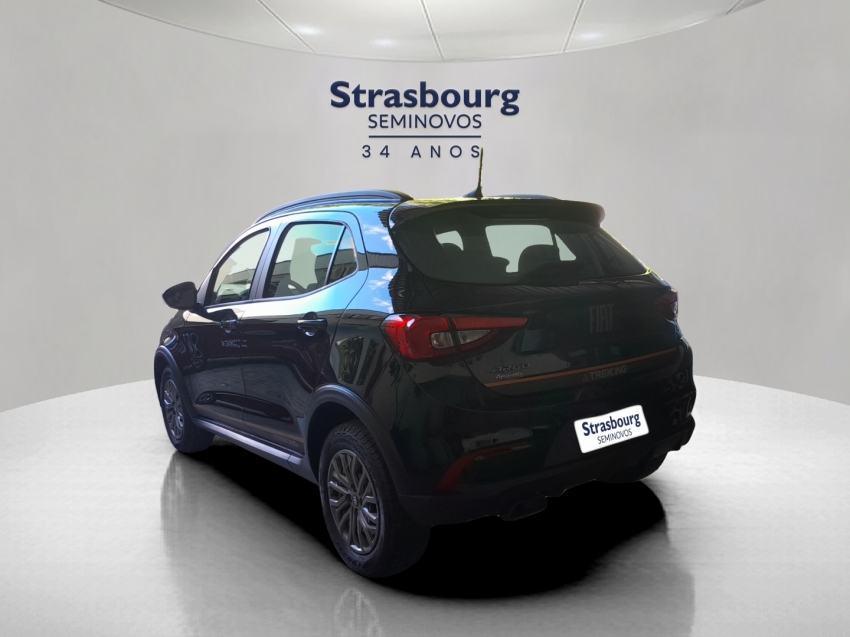 fiat argo 1.3 firefly flex trekking manual.