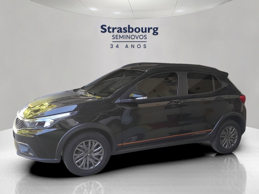 fiat argo 1.3 firefly flex trekking manual.