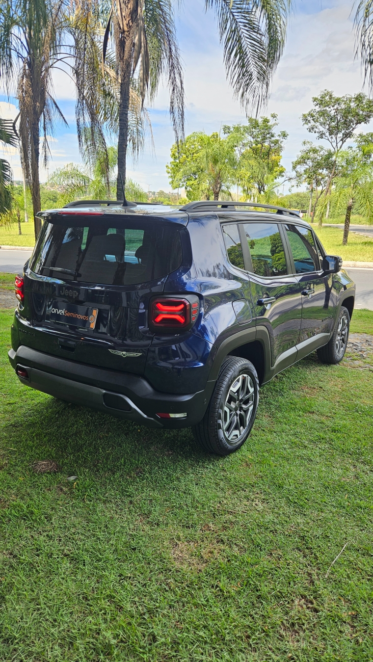 renegade trail hawk 1.3 t2703