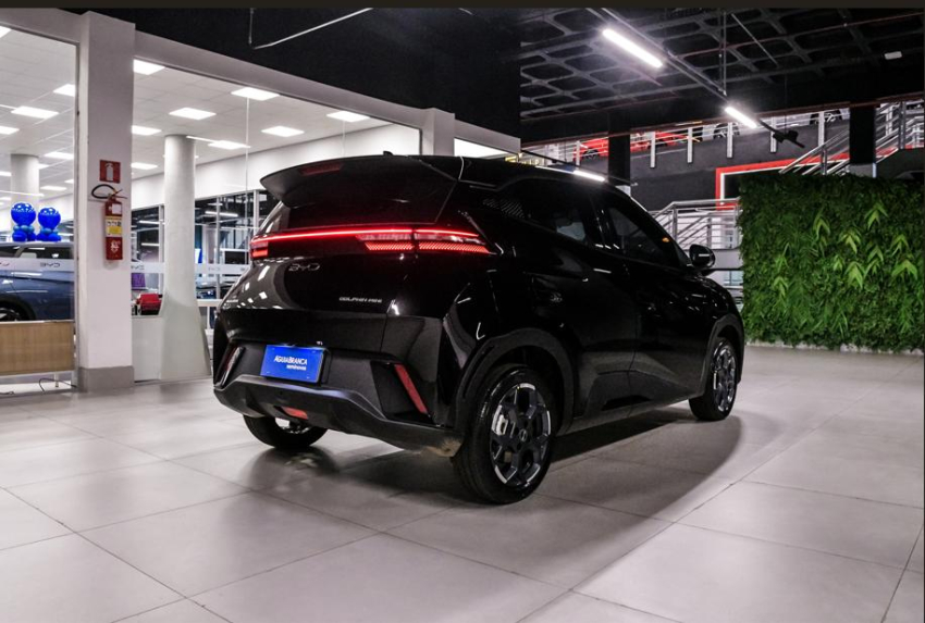 BYD DOLPHIN MINI 38 KW ELÉTRICO GS 9