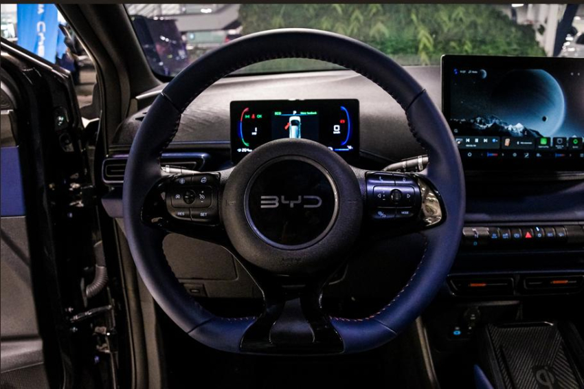 BYD DOLPHIN MINI 38 KW ELÉTRICO GS 13