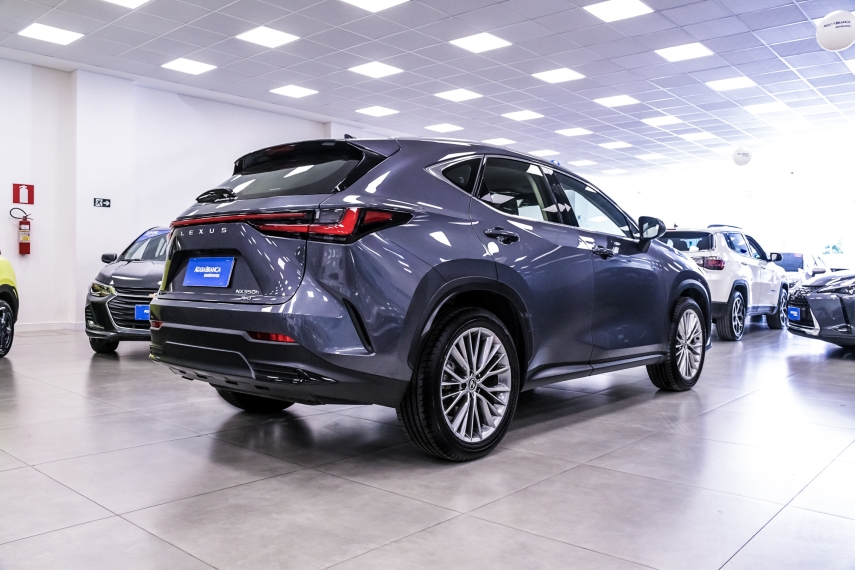 Lexus NX 350h 2.5 16V VVT-I HYBRID LUXURY CVT AWD 10