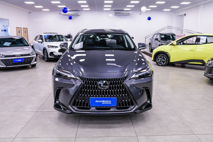 Lexus NX 350h 2.5 16V VVT-I HYBRID LUXURY CVT AWD 3