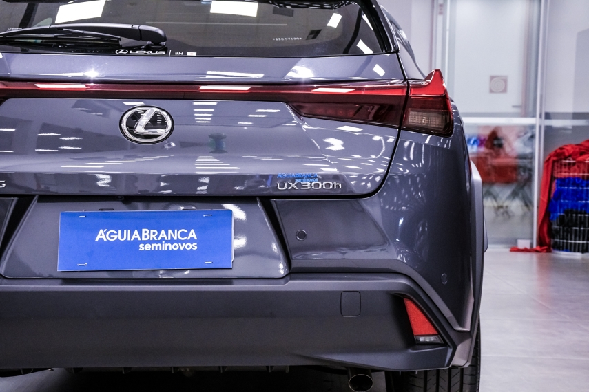 Lexus UX 300H 2.0 VVT-I HYBRID CVT 9