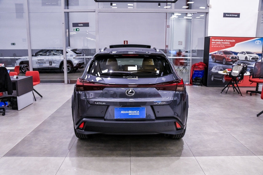 Lexus UX 300H 2.0 VVT-I HYBRID CVT 8