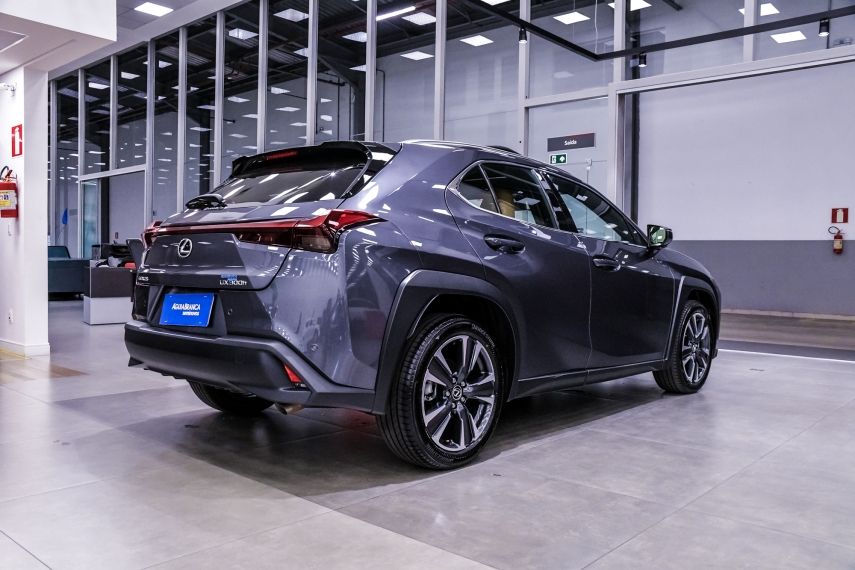 Lexus UX 300H 2.0 VVT-I HYBRID CVT 10