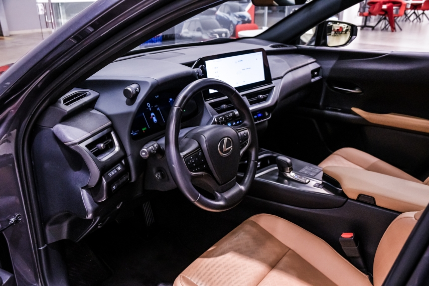 Lexus UX 300H 2.0 VVT-I HYBRID CVT 13