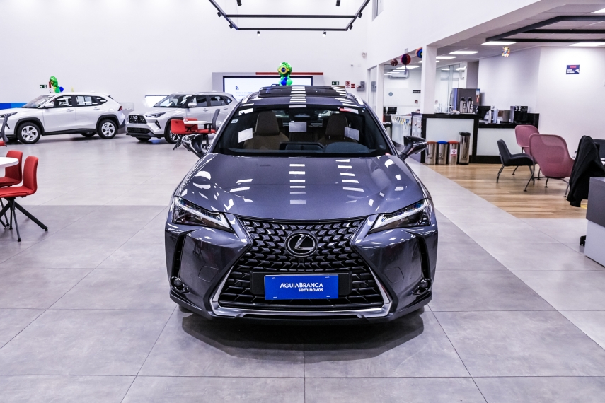 Lexus UX 300H 2.0 VVT-I HYBRID CVT 3