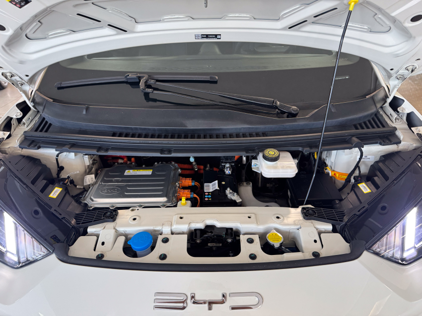 Carro BYD DOLPHIN MINI