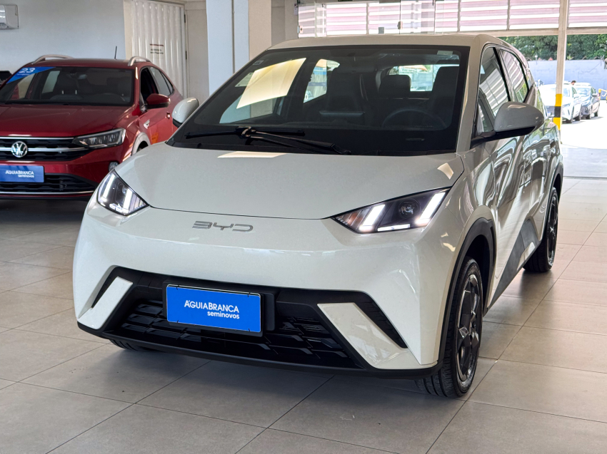 Carro BYD DOLPHIN MINI