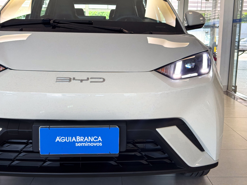 Carro BYD DOLPHIN MINI