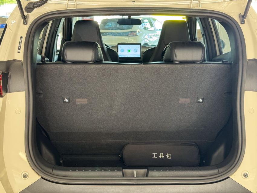 Carro BYD DOLPHIN MINI