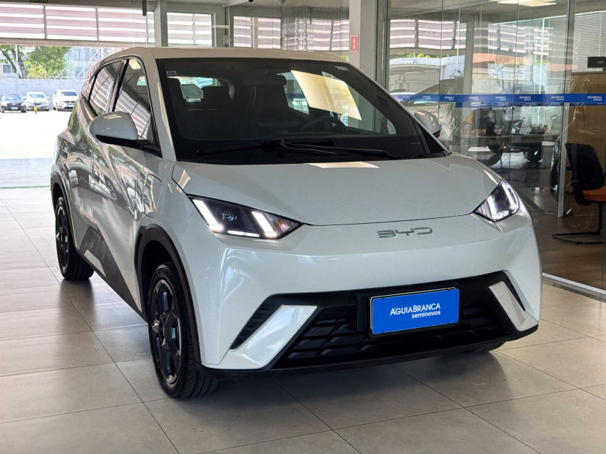 Carro BYD DOLPHIN MINI