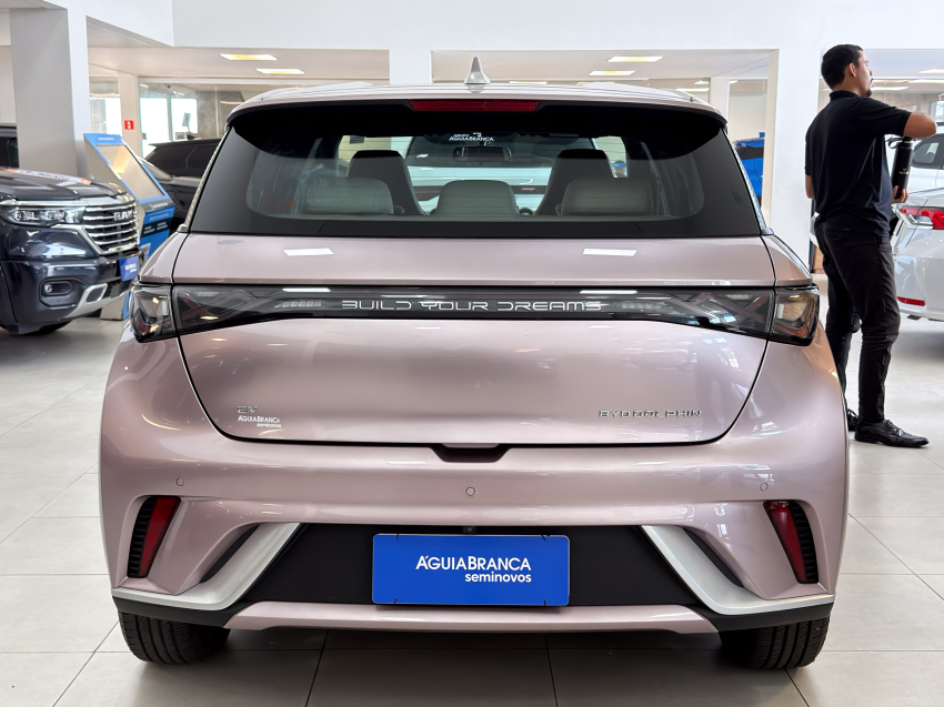 BYD DOLPHIN 44,9 KW ELÉTRICO GS 8