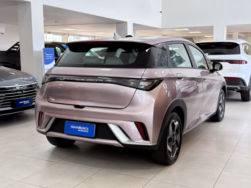 BYD DOLPHIN 44,9 KW ELÉTRICO GS 10