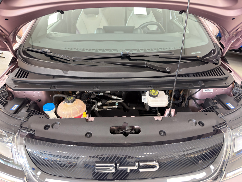 BYD DOLPHIN 44,9 KW ELÉTRICO GS 6