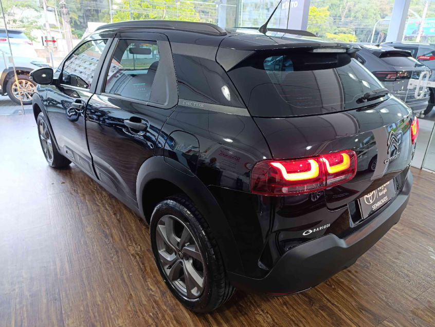 c4 cactus feelat at 1.6 flex