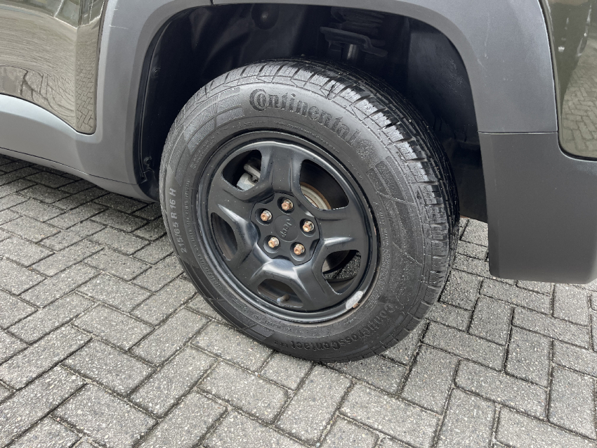 renegade 1.8 aut flex