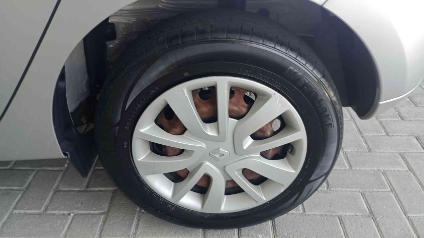 renault sandero 1.0 12v sce flex expression manual 4p 201816