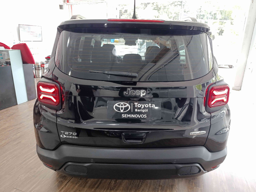 renegade longitude 1.3 flex4