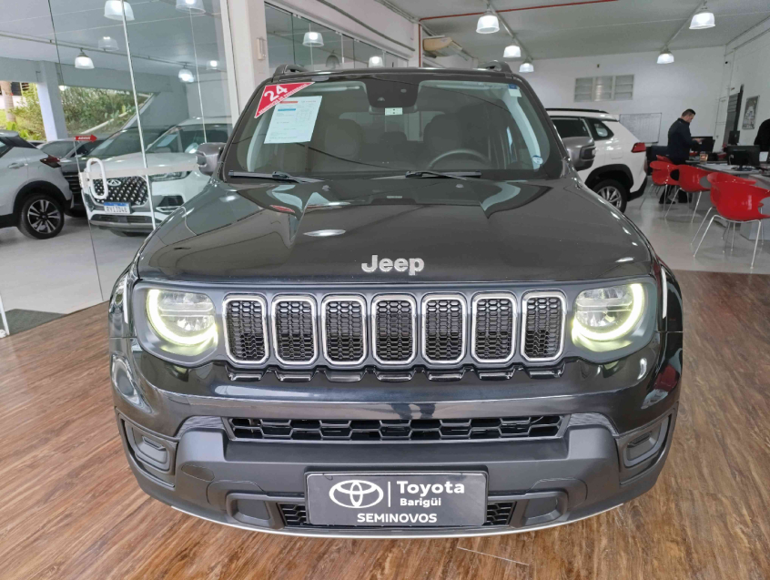 renegade longitude 1.3 flex2