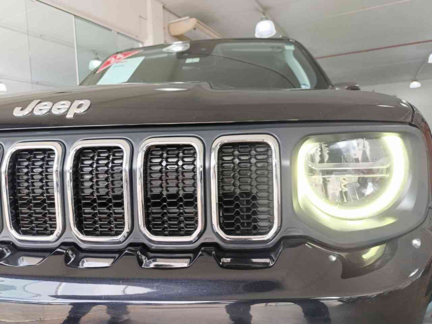 renegade longitude 1.3 flex16