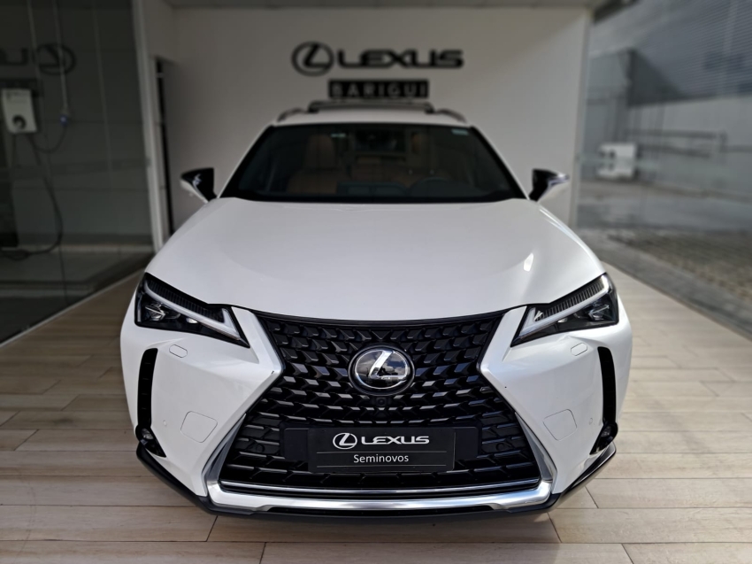 lexus ux 250h1