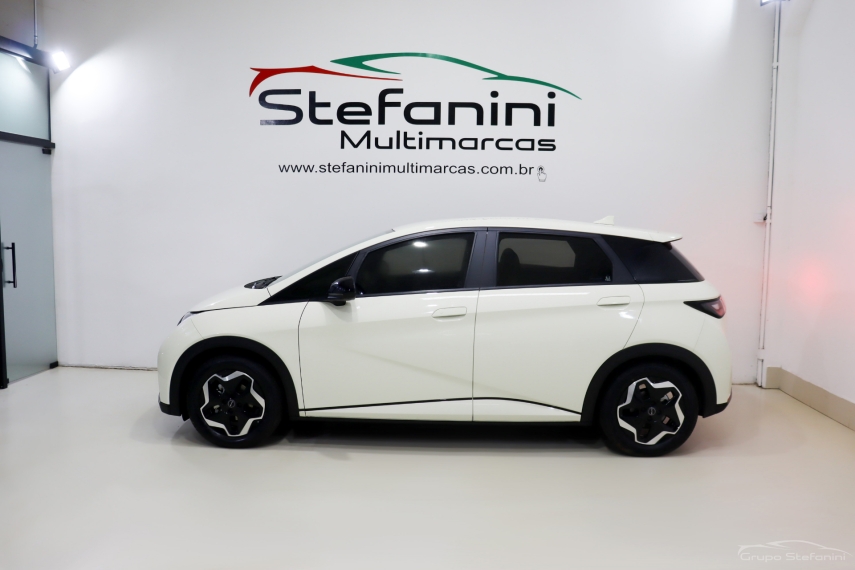 byd dolphin 44,9 kw eletrico gs 4.4 4p automatico 20249