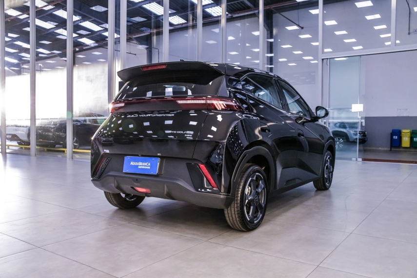 Carro BYD DOLPHIN MINI