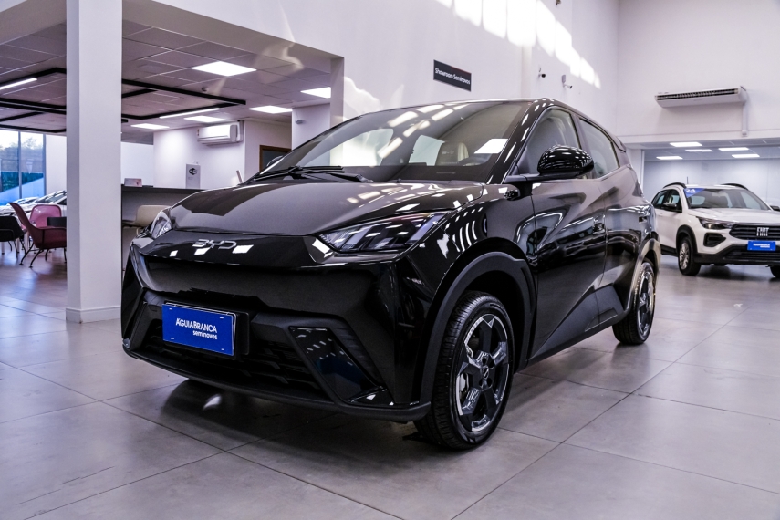Carro BYD DOLPHIN MINI