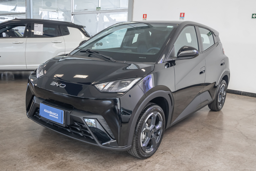 Carro BYD DOLPHIN MINI