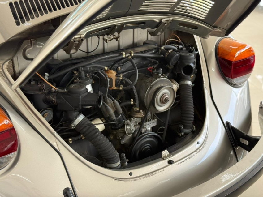 volkswagen fusca 1.6 8v gasolina 2p manual 199413