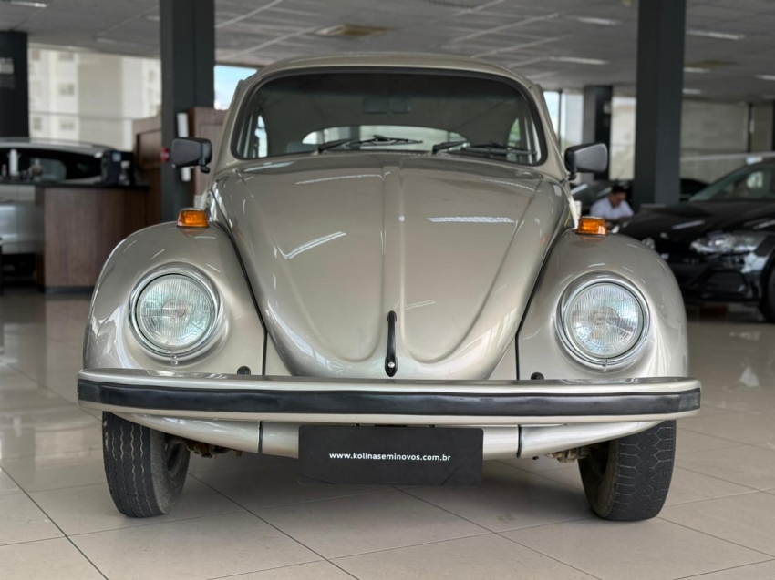 volkswagen fusca 1.6 8v gasolina 2p manual 19942