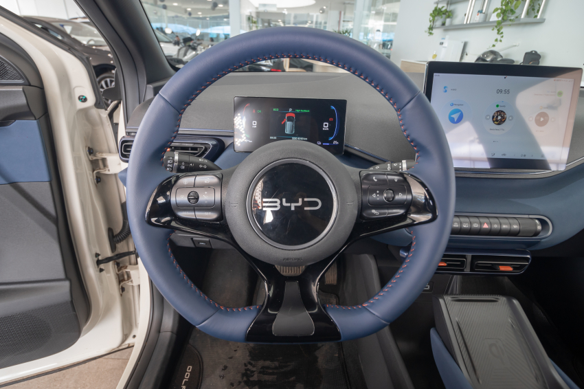 Carro BYD DOLPHIN MINI