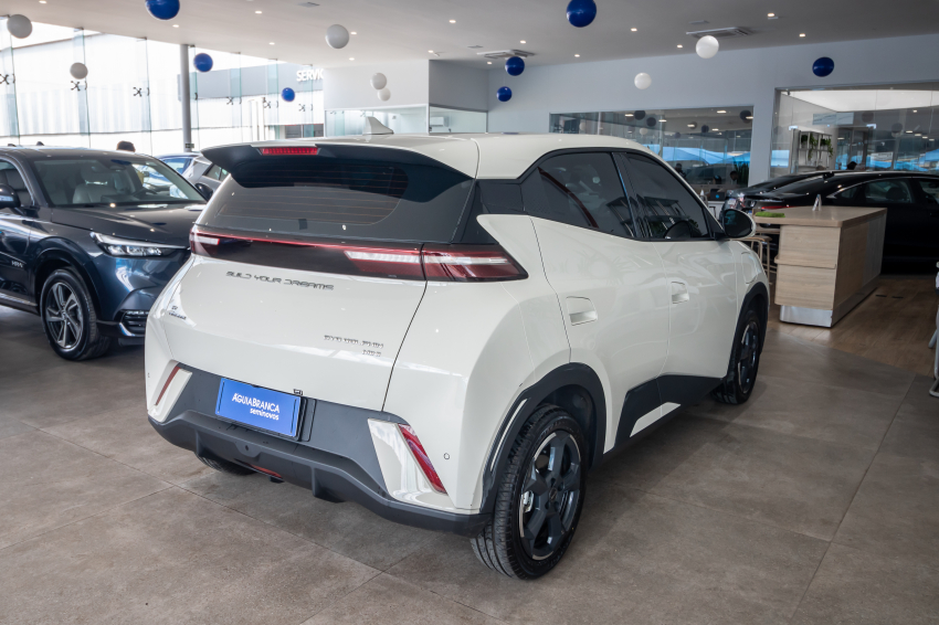 Carro BYD DOLPHIN MINI