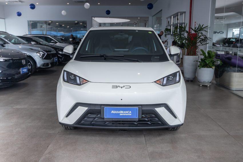 Carro BYD DOLPHIN MINI
