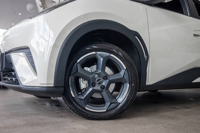 Carro BYD DOLPHIN MINI