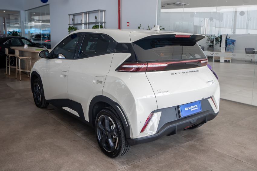 Carro BYD DOLPHIN MINI