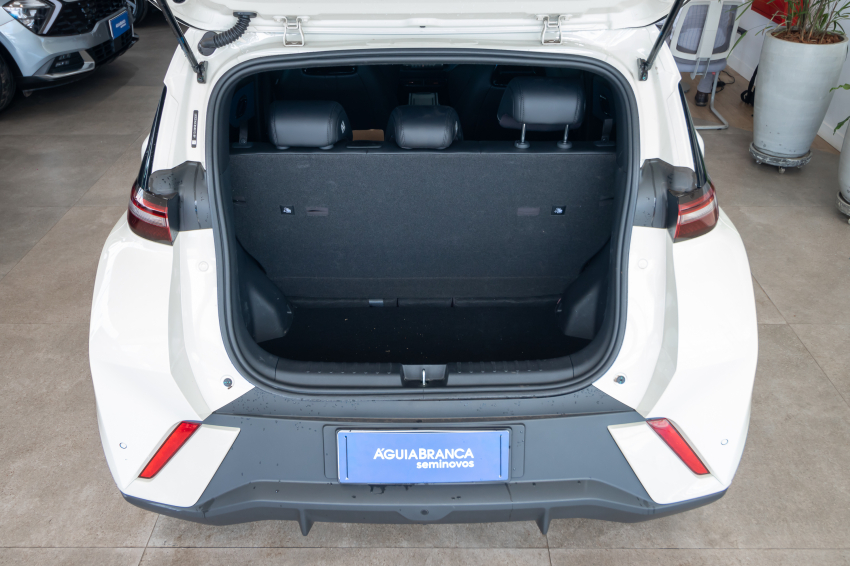 Carro BYD DOLPHIN MINI