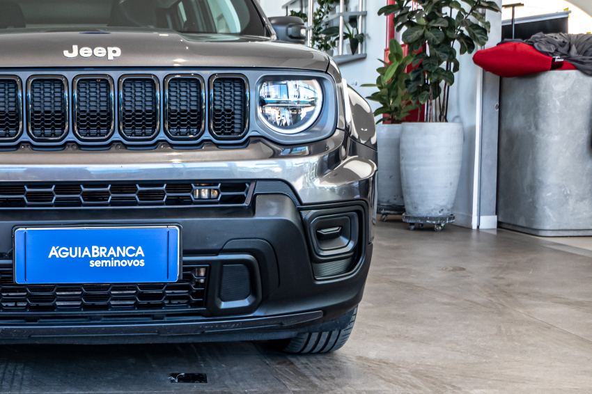 JEEP RENEGADE 1.3 T270 TURBO FLEX AT6 4